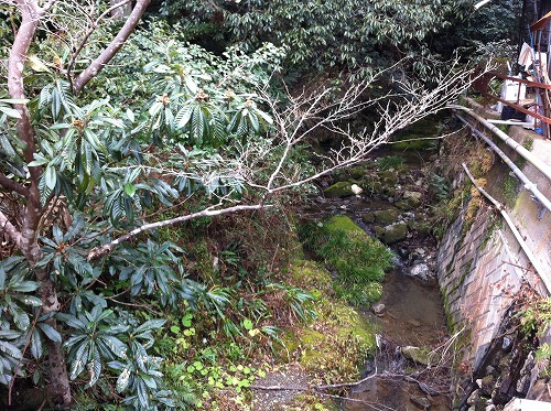 そうだ山温泉 (5)